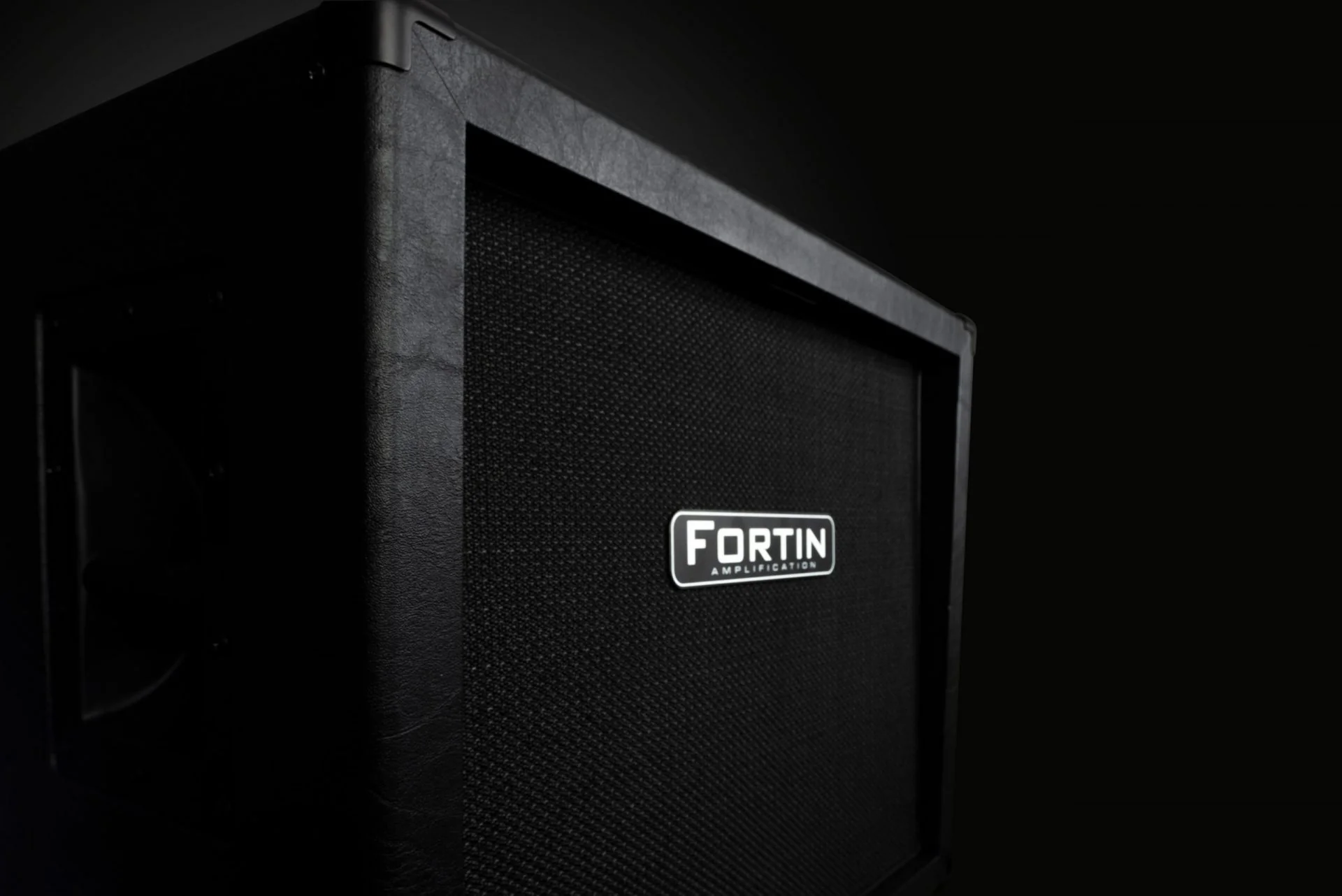 2x12" Guitar Speaker Cabinet - Image 3