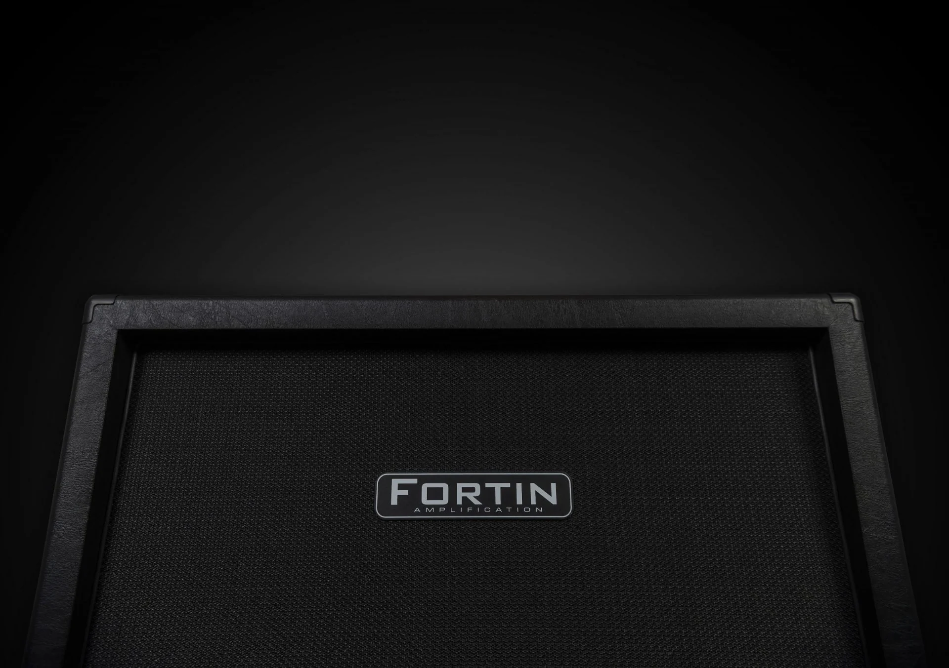 2x12" Guitar Speaker Cabinet - Image 4