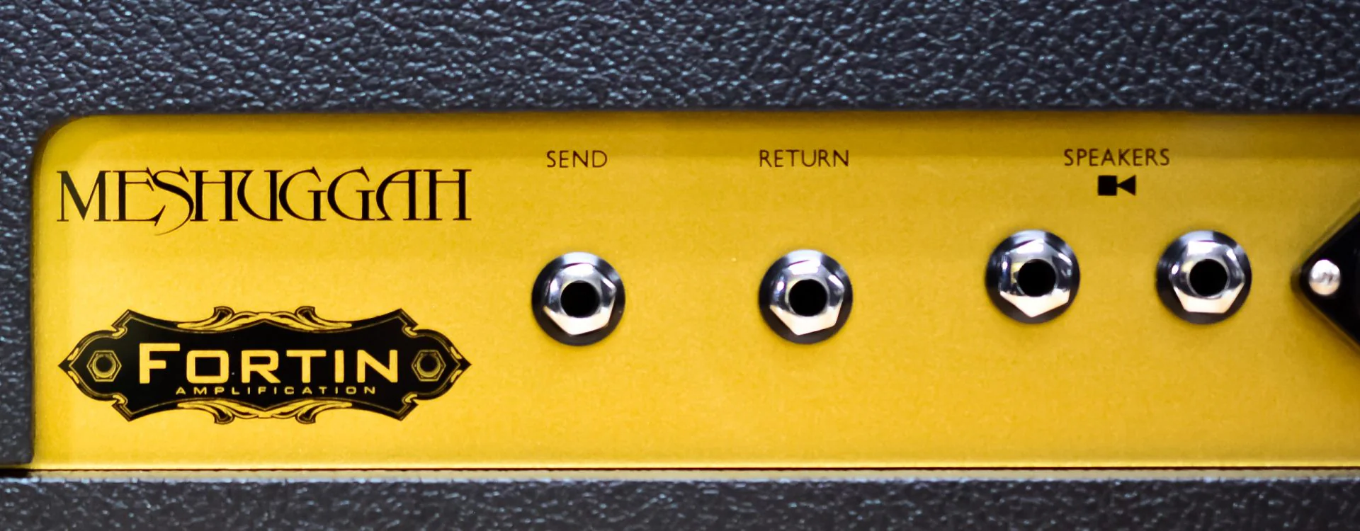 MESHUGGAH - 50W Signature Amplifier - Image 4